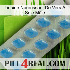 Liquide Nourrissant De Vers À Soie Mâle 22